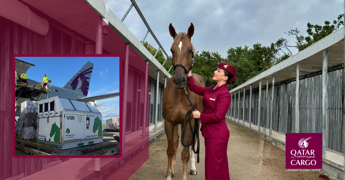 transporte aéreo de cavalos portugal