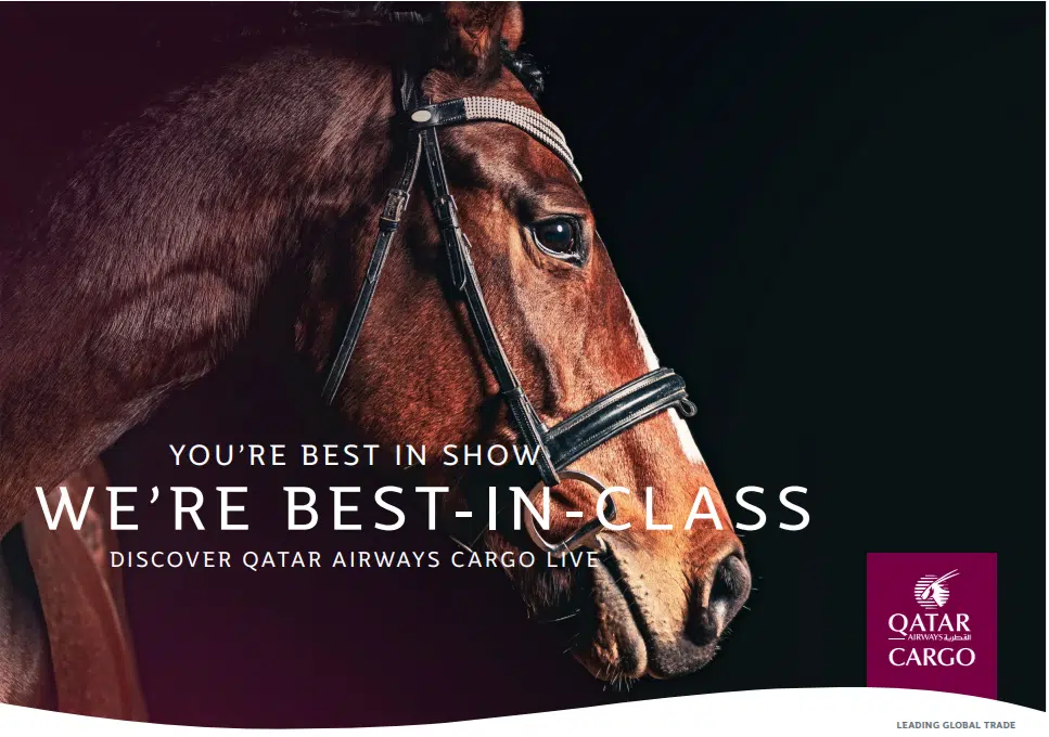 Qatar Airways cargo o melhor para transporte de cavalos
