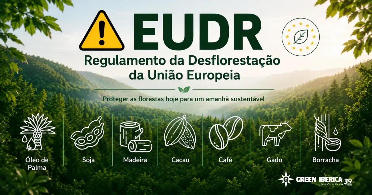 Prepare-se para o EUDR - Regulamento da Desflorestação da União Europeia